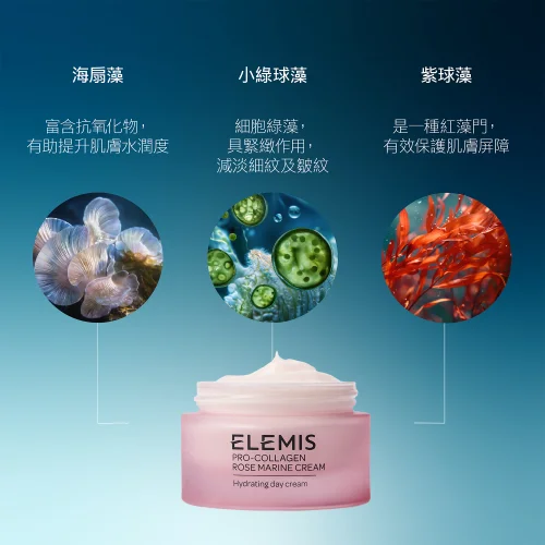 Pro-Collagen Rose Marine Cream Image 3